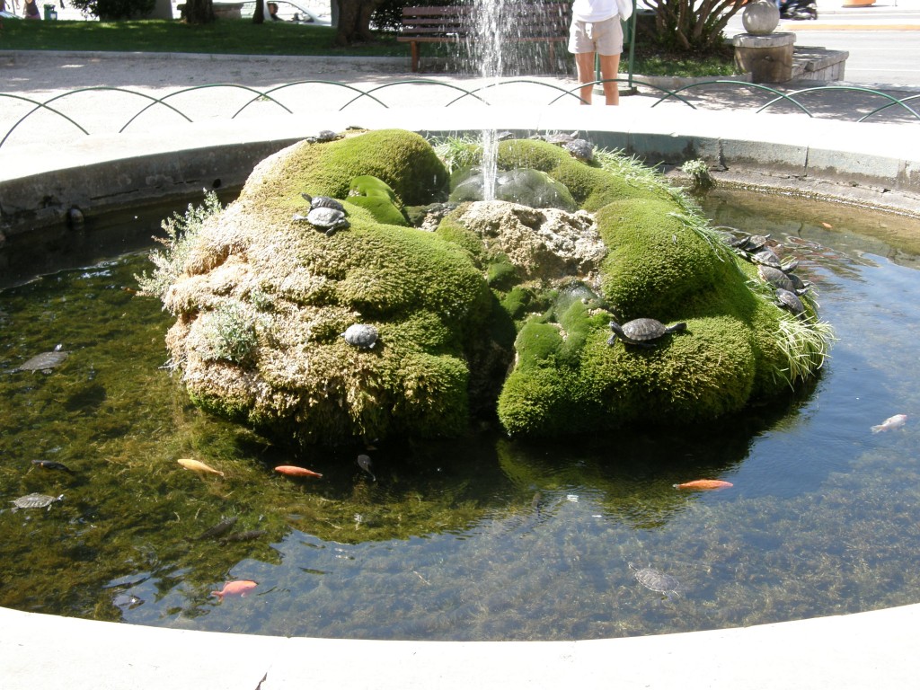 Шибеник. Фонтан с черепашками