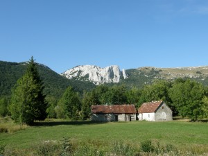 ПП "Велебит"