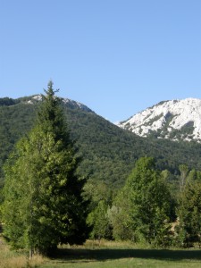 ПП "Велебит"