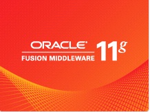 Fusion Middleware 11g