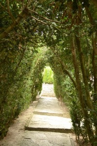 Ботанический сад Балчик