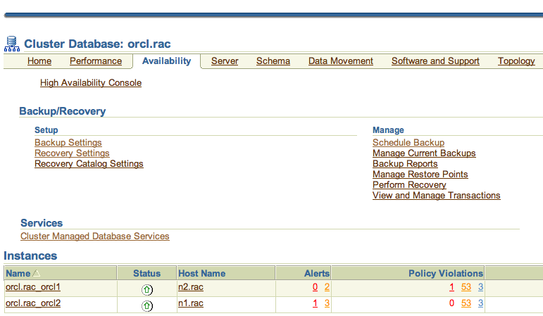 em-console-cluster-services