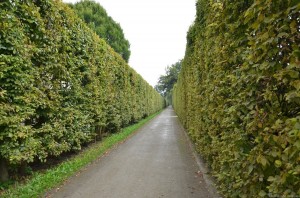 Верхний парк в замке Чешский Крумлов