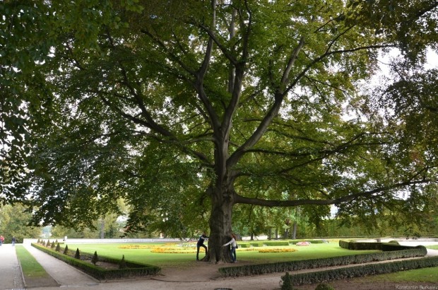 Верхний парк в замке Чешский Крумлов