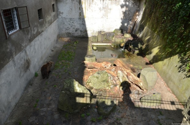 Медведевы ямы