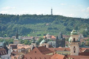 Вид на Петрижнский парк