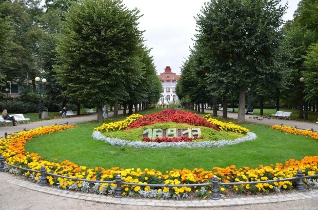 Цветочная клумба