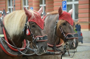 Запряженные лошадки