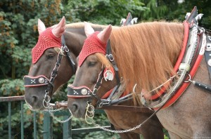 Запряженные лошадки