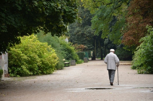 В Саксонском саду В Саксонском саду